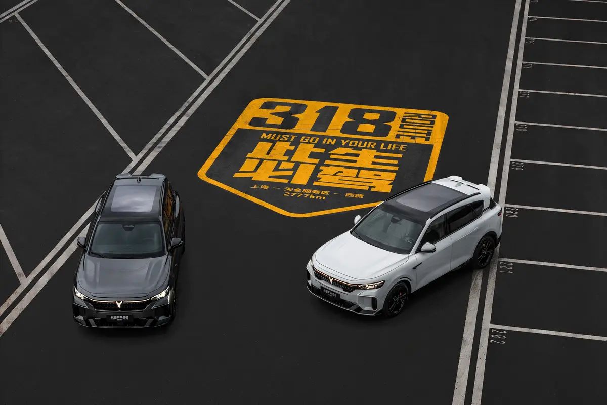 图片 10