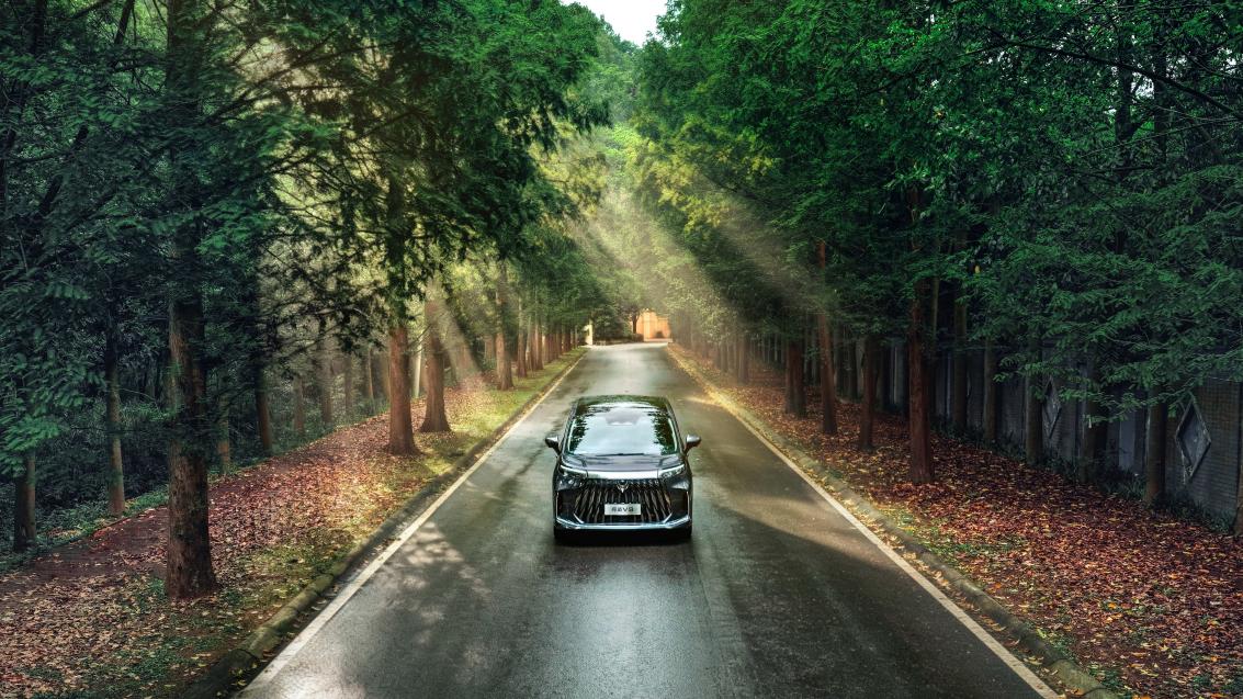 dji_fly_20260410_152234_0176_1775806895351_photo_3405244246-oi4489416825